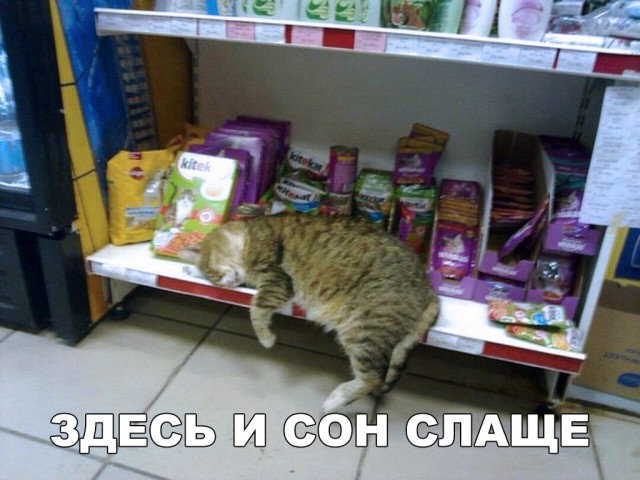 Немного милоты