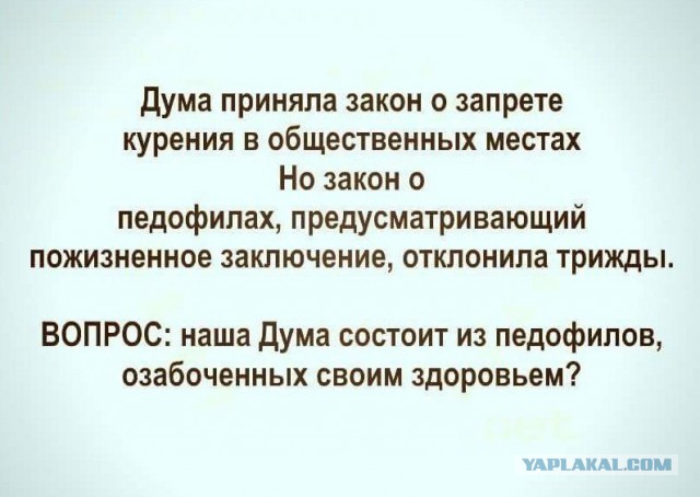 Анекдоты, соц-сети, истории и картинки с надписями