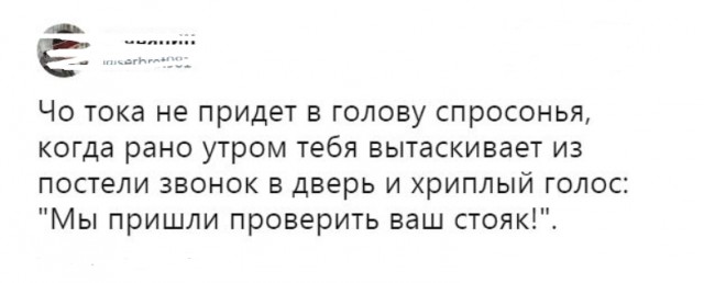 Анекдоты, соц-сети и картинки с надписями