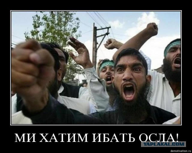 "Иди юбку надень со своей жены"