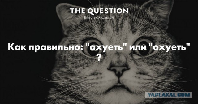 Мать не та, что родила, а та, что воспитала