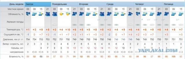 Бредзона 21.12.19