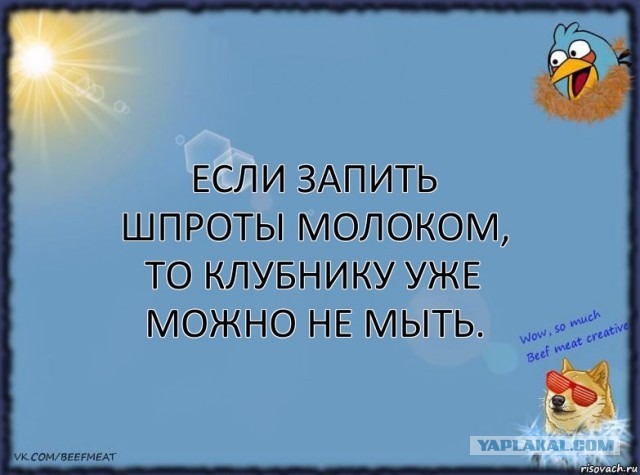 А вы запиваете или закусываете?