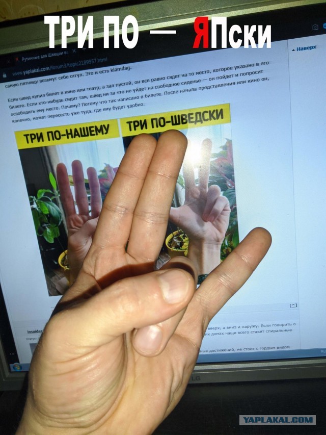 Рутинные для Швеции вещи, которые вызывают только один вопрос: «А что, так можно было?»