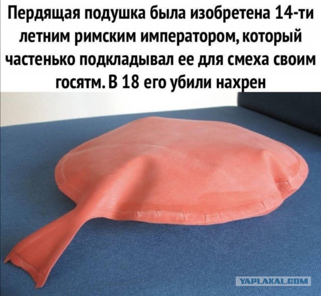 Фотки и картинки: юморные и красивые, забавные и милые 13.11.20