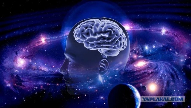Ученые обнаружили удивительное сходство между строением мозга и Вселенной