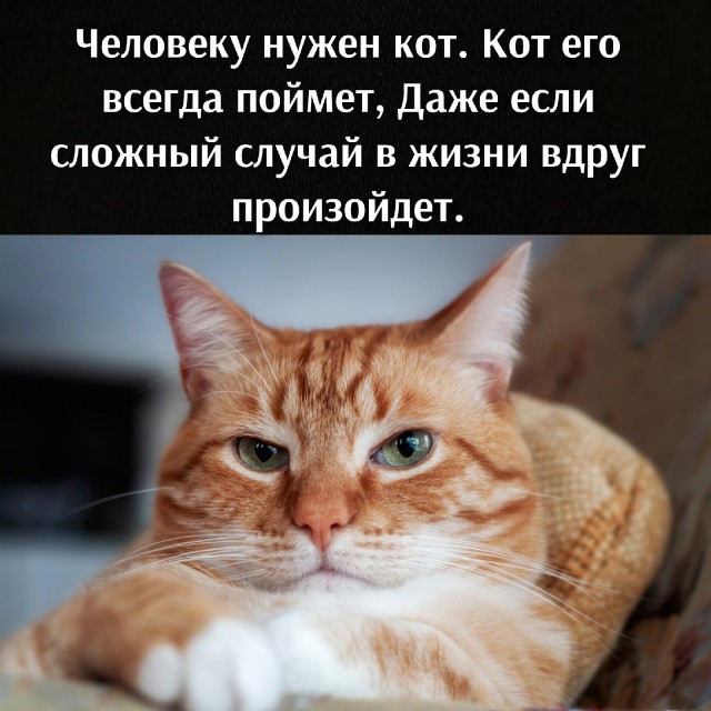 Так себе картинки 05.04.21