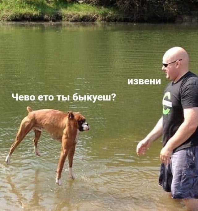 Маразм в картинках 27.04.2021