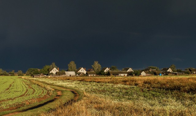 Перед грозой в деревне