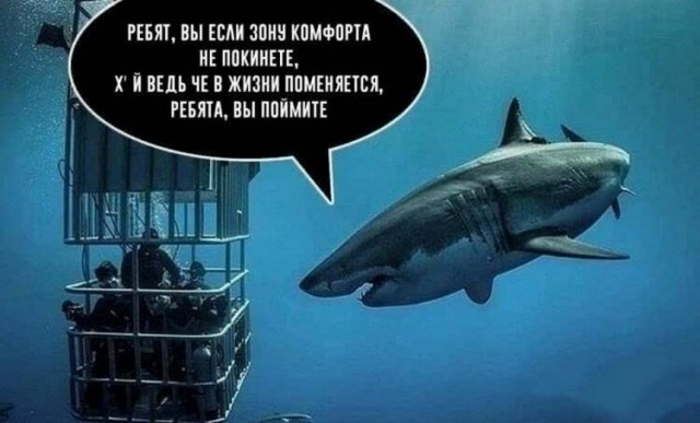Картинки и мемы для настроения 006