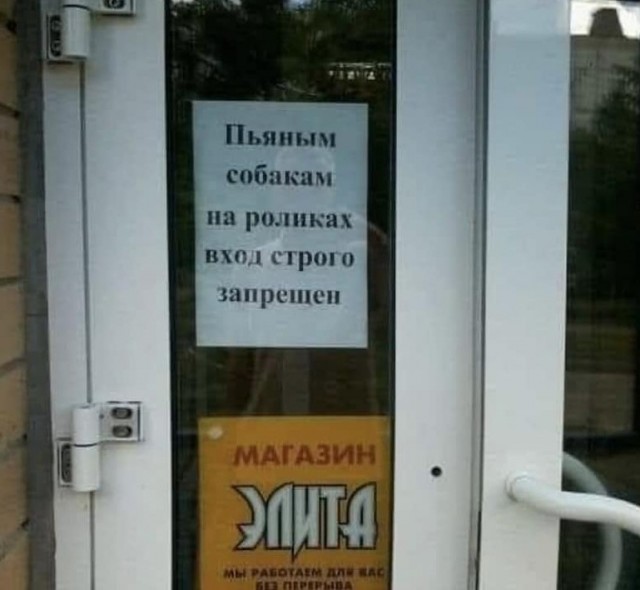 Так себе картинки 19.08.21