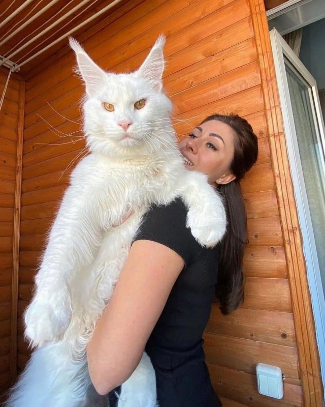 Один шаг и она начнется