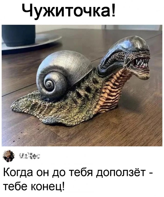 Так себе картинки 24.12.21