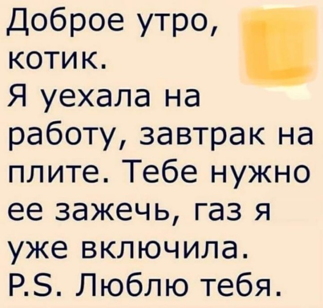 Наши любимки такие смешные