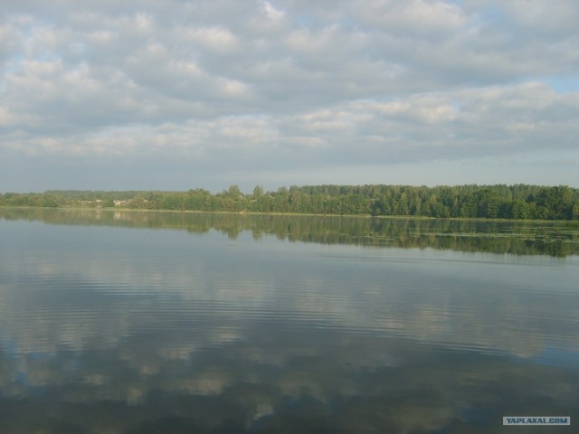 Беларусь - взгляд с берега