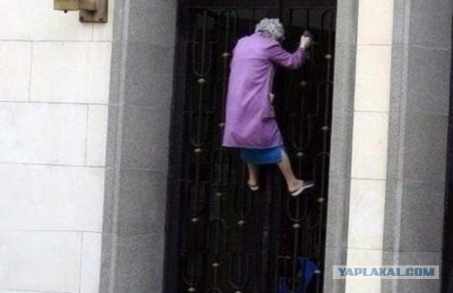Тысячи британцев выразили готовность принять беженцев с Украины