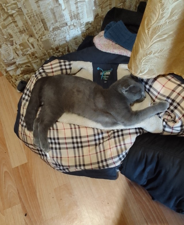 Ну, поехали в котоввторник!