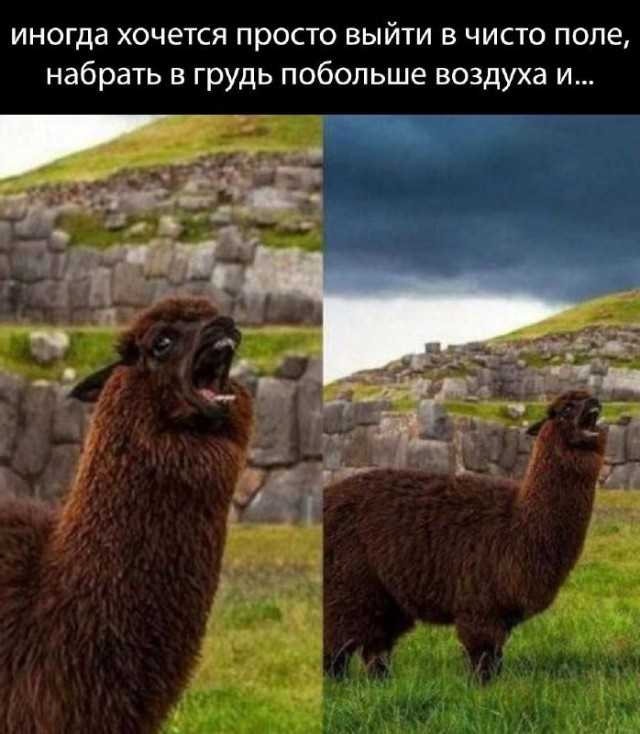 Картинки несуразные