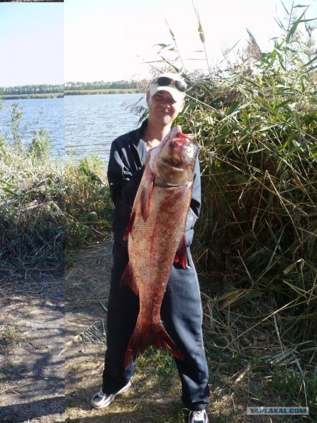 Рыбалка 2012. Открытие сезона.