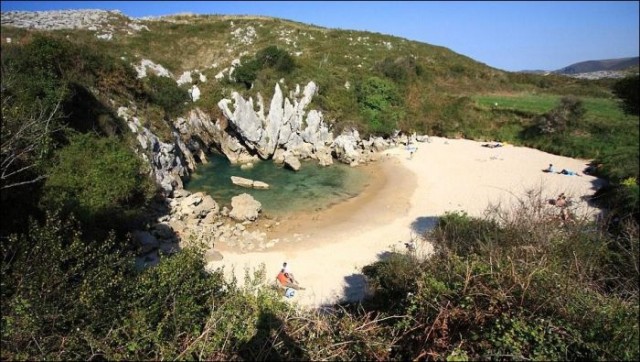 Морской пляж посреди пустыря с кустарником