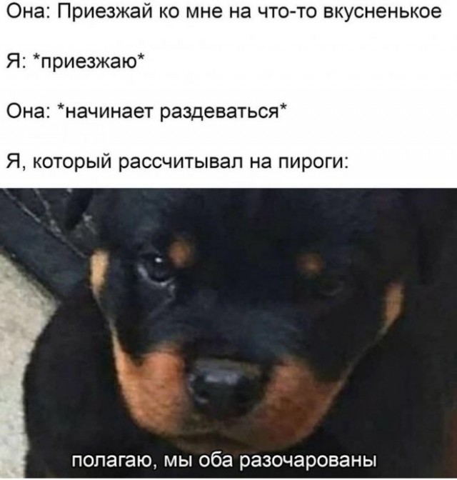 Немного картинок."Колбасный ветер". Август