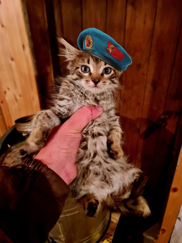 Найденыш