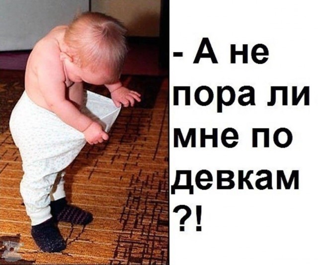 Злой и страшный серый волк