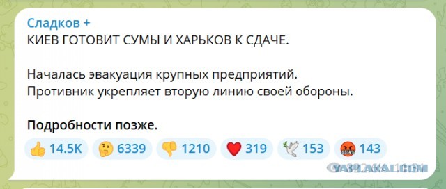 "У нас ошеломляющие результаты. За то, что я сейчас скажу, я отвечаю!" - военкор ВГТРК Сладков