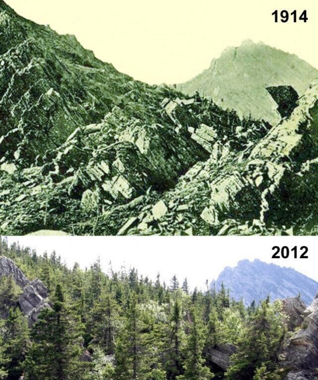 Уральское лето моими глазами