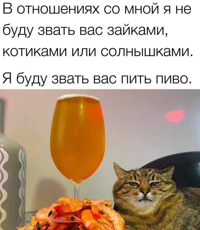 Так себе картинки 14.09.23