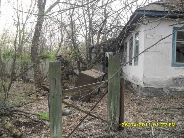 Чернобыль 2011