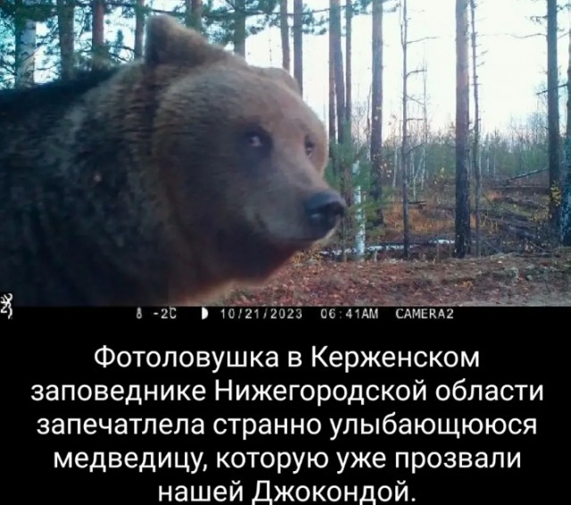 Весёлый полтишок 19.11.23