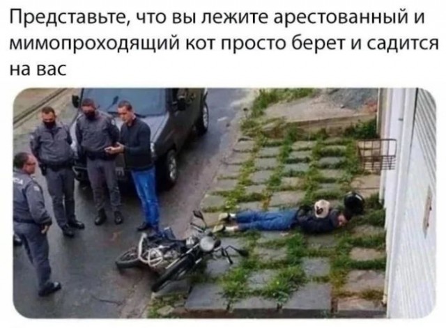 Приколы с налетом деградации