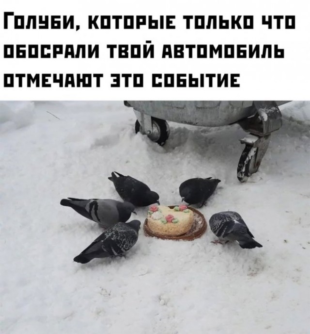 45 пошло-баянистых картинок