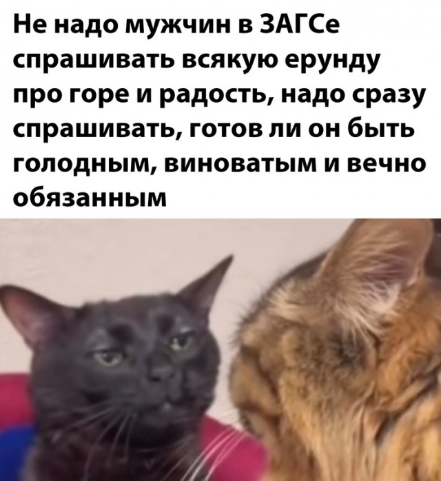 Весёлый полтишок 05.01.24