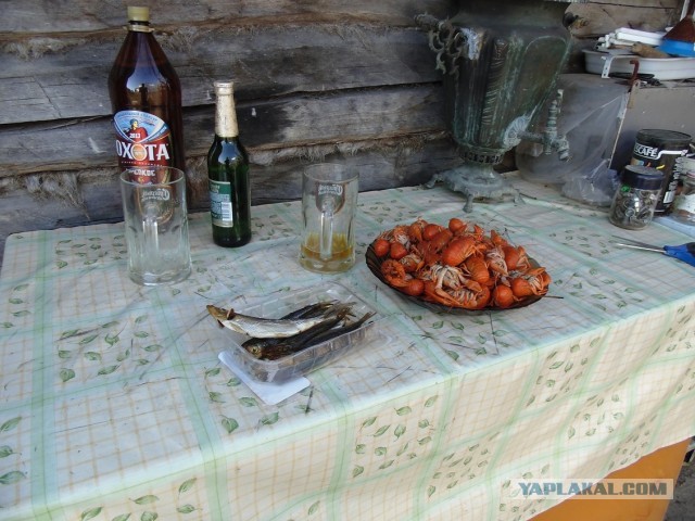Дача, грибы, мясо, овощи.