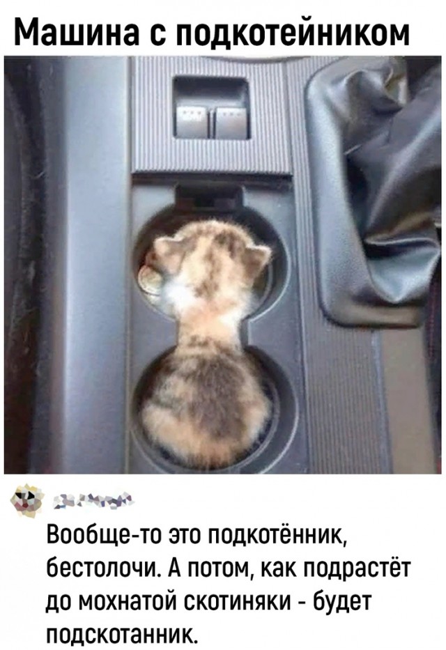 Так себе картинки 17.02.24