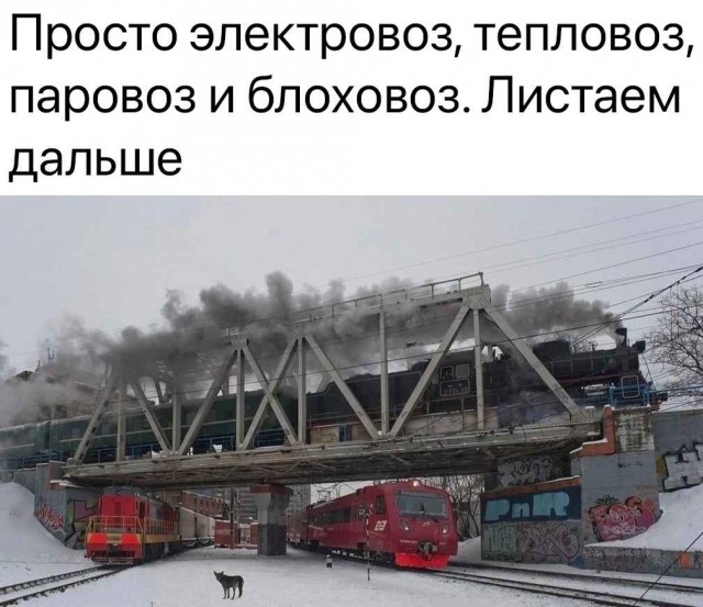 Встретились как-то тепловоз, паровоз и...⁠⁠
