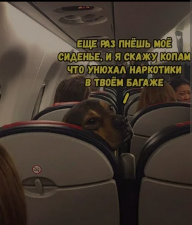 В самолёте