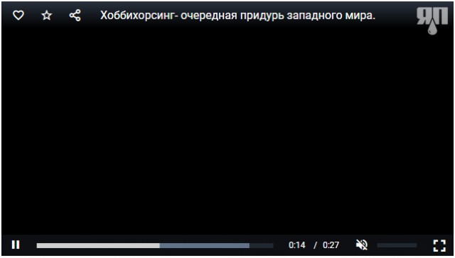 Соревнования по хоббихорсингу на Конноспортивном комплексе Пермского края