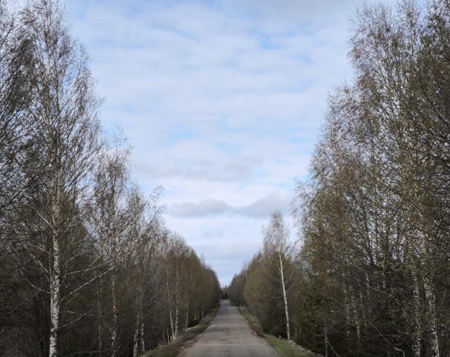 Кто чем занят в выходной день?