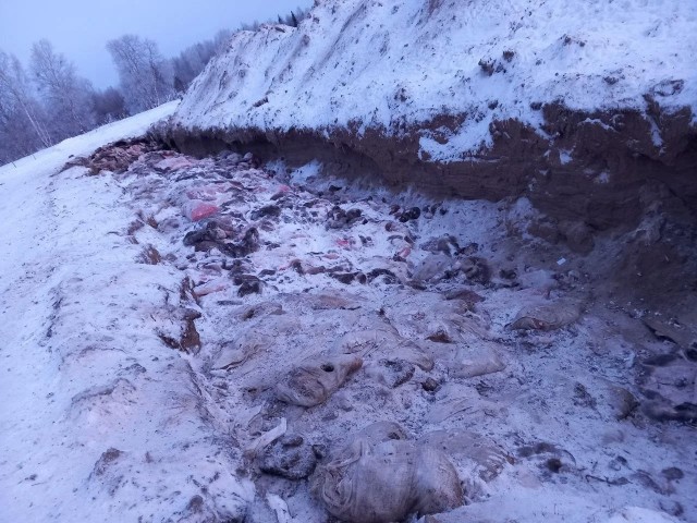 Валим отсюда