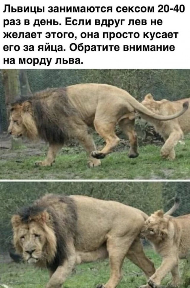 Порнушки немножко