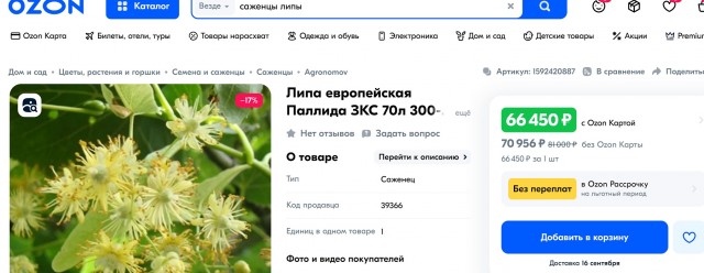 Из официальных источников, в местной телеге. Цена 1 саженца 64 тыс. Это как?