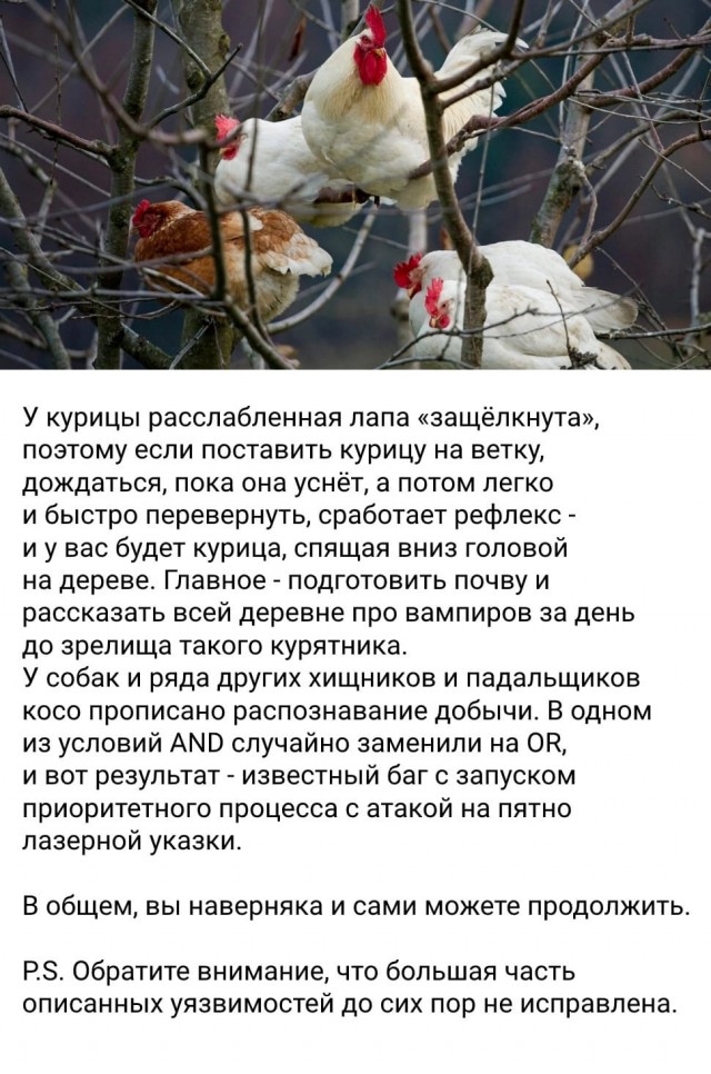 Баги в природе