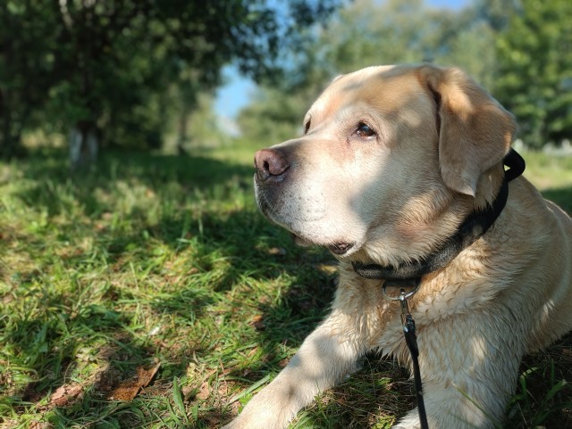 А у Даны д.р. Ей 10 лет!