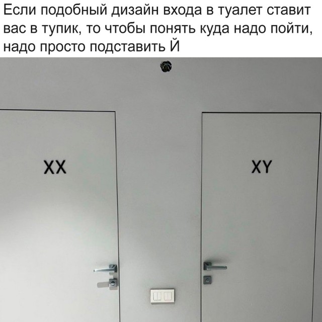 Весёлый полтишок 14.10.2024