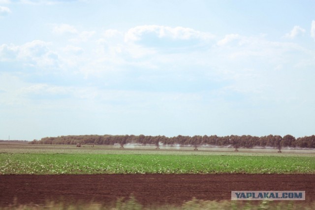 В дали от городской суеты