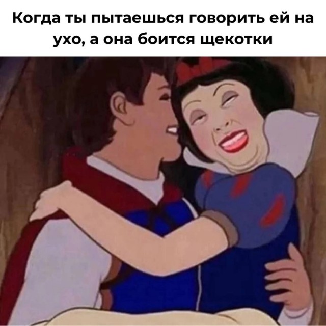 Весёлый полтишок 01.11.24