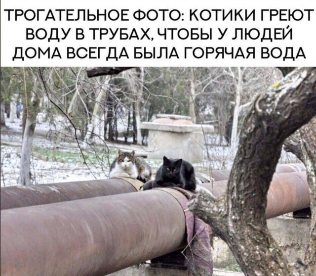 Завалялось тут случайно немного забавных картинок